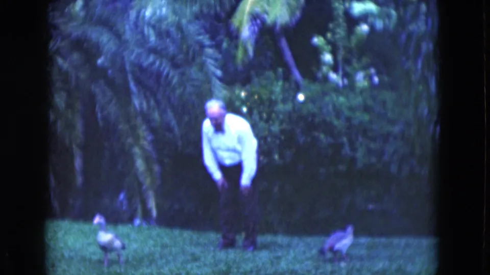 1975 Florida 8mm frame showing an older man in a white shirt bending toward birds on a tropical garden lawn.