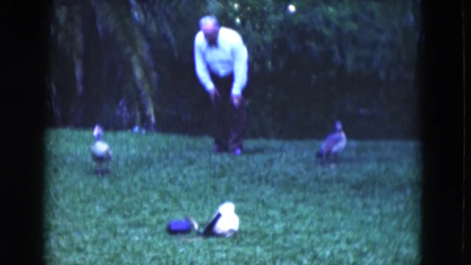 1975 Florida 8mm frame showing an older man on a garden lawn with birds spaced around him and palms in the background.