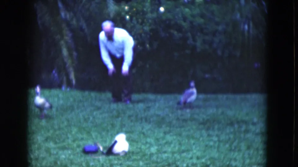 1975 Florida home-movie frame of an older man watching birds on a tropical lawn with soft blue 8mm color.
