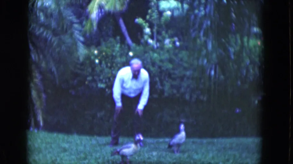 1975 Florida home-movie frame showing an adult man and ducks on a tropical backyard lawn.