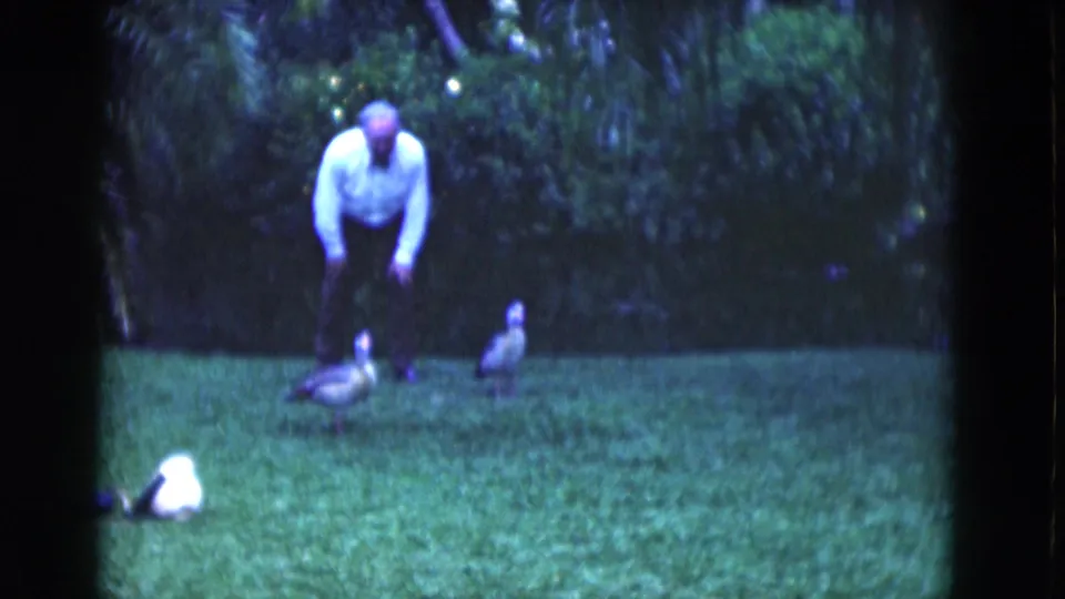 The man remains bent toward ducks on a Florida lawn, with dark shrubs and palms filling the background.