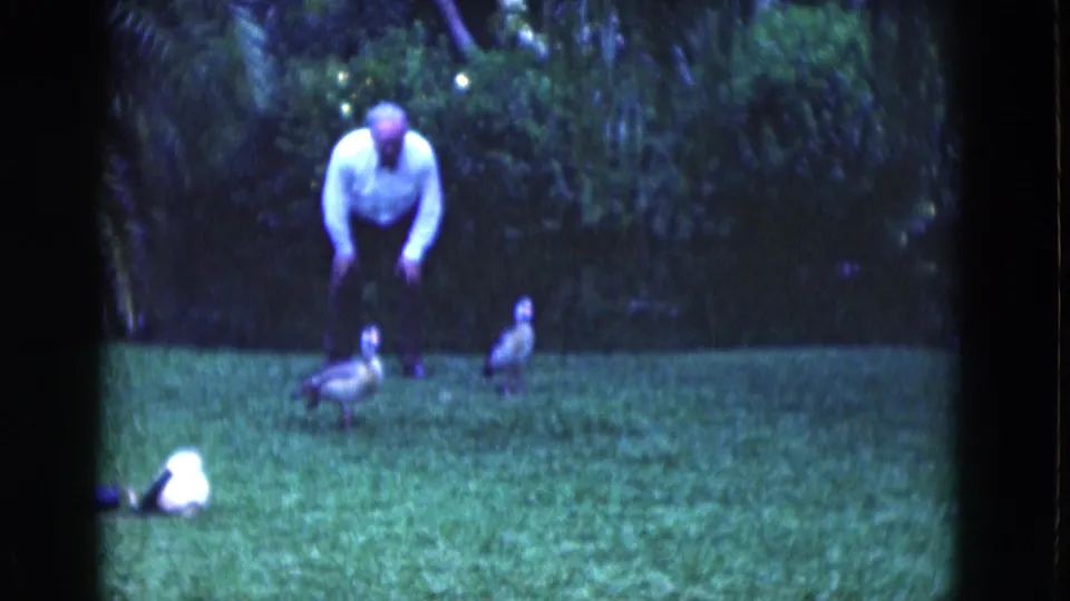 A soft 8mm view of a man leaning toward ducks in a tropical Florida yard, with palms and dark greenery in the background.