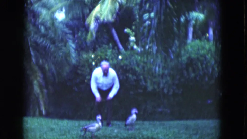 The final frame shows the man near ducks on a grassy Florida lawn, with lush palms and garden foliage behind the scene.