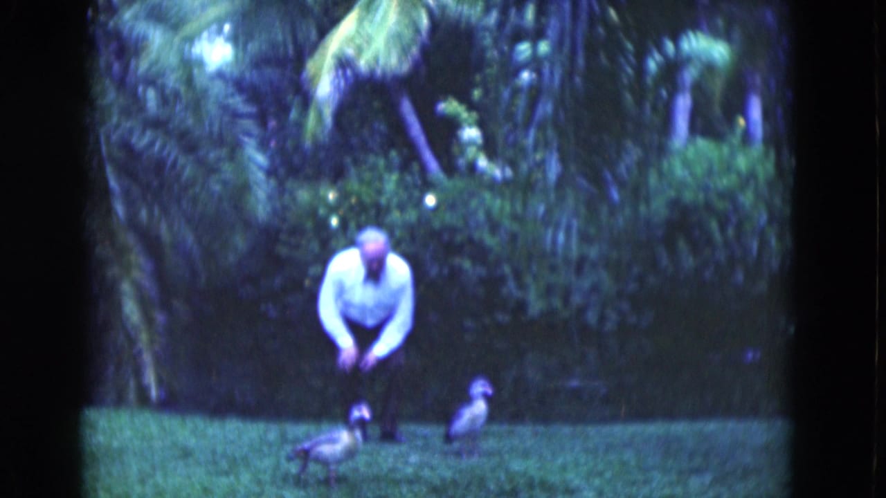 In 1975 Florida home-movie footage, a man in a light shirt bends toward ducks on a tropical lawn bordered by palms and shrubs.