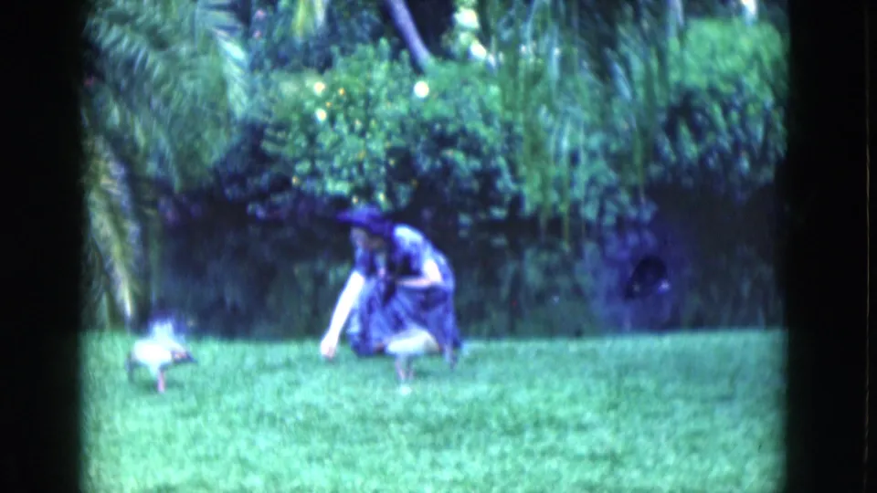 A woman kneels on a Florida lawn, reaching toward ducks in a tropical backyard setting with palms and thick green foliage.