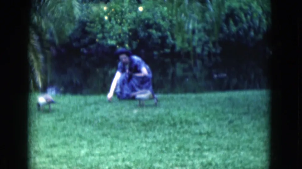 The woman remains crouched on the Florida lawn, extending a hand toward a nearby duck in soft, grainy 8mm footage.