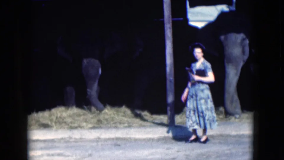 1975 Florida home-movie frame of a woman in a blue patterned dress standing before elephants in a nighttime enclosure.