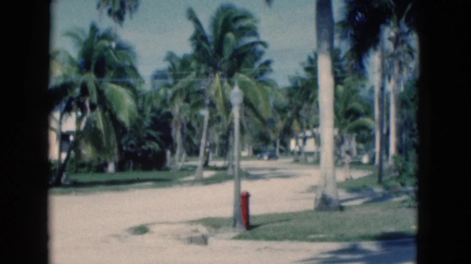 1975 Florida home-movie frame showing a daylight street or path bordered by palm trees, lawn, and a red hydrant.
