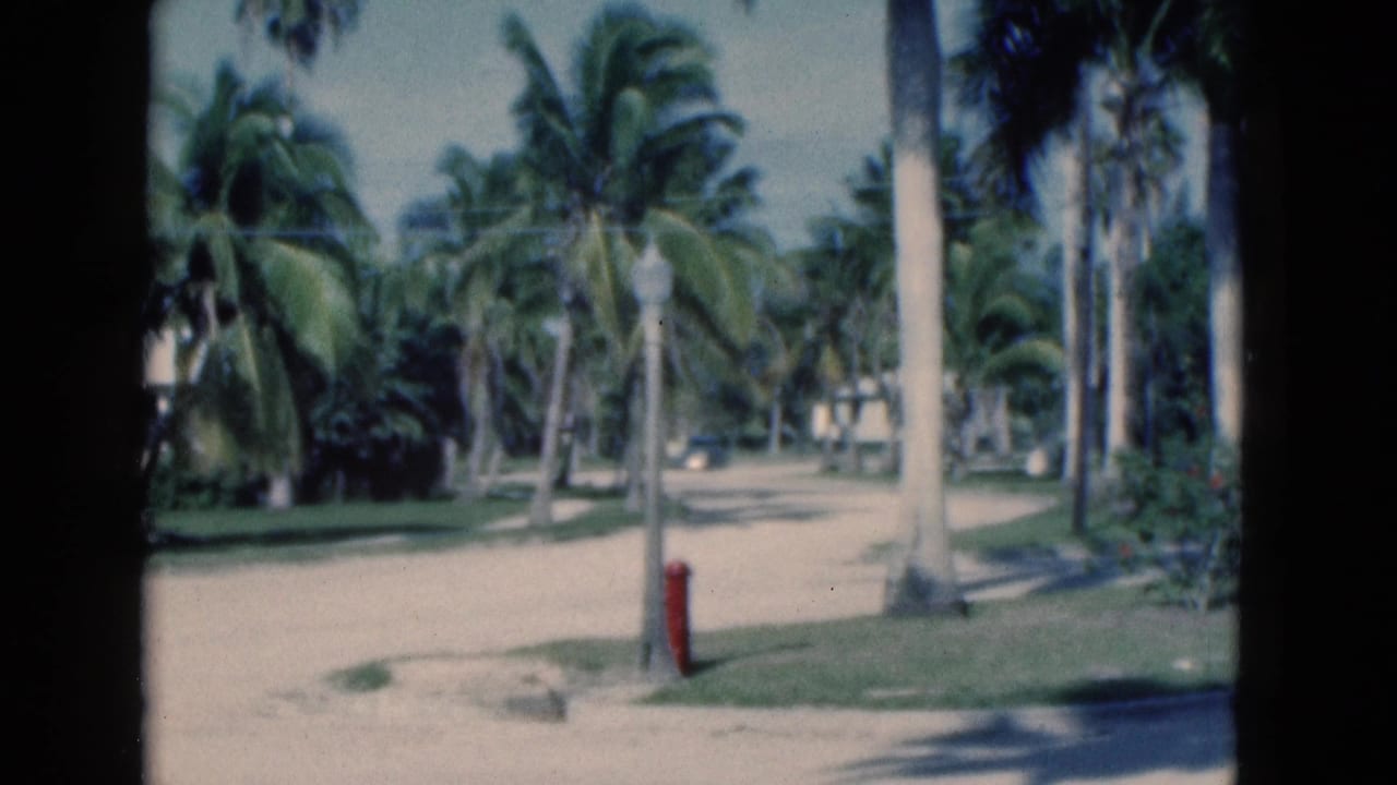 Palm-lined sandy street with a red fire hydrant and low buildings in the distance.