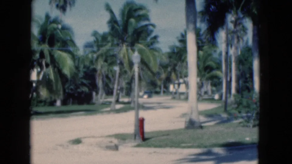 1975 Florida home-movie frame of a palm-lined sandy road with grass, a red hydrant, streetlamp, and distant buildings.
