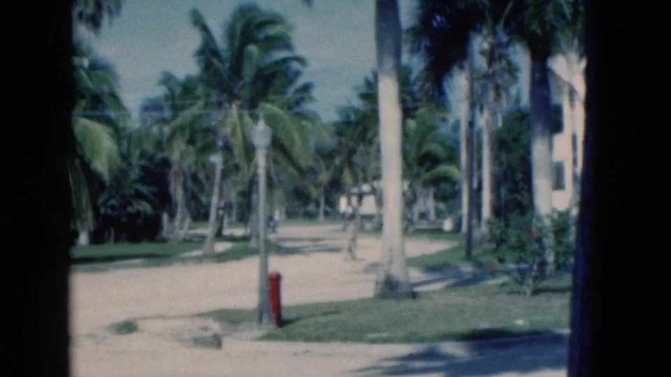 1975 Florida street view with tall palms, sandy road, red hydrant, and a distant man walking along the roadway.