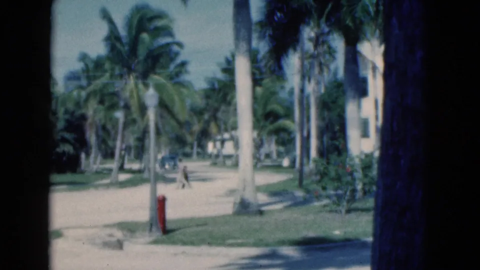 A man walks through a 1975 Florida palm-lined street scene, with a red hydrant, grass, and building edge visible.