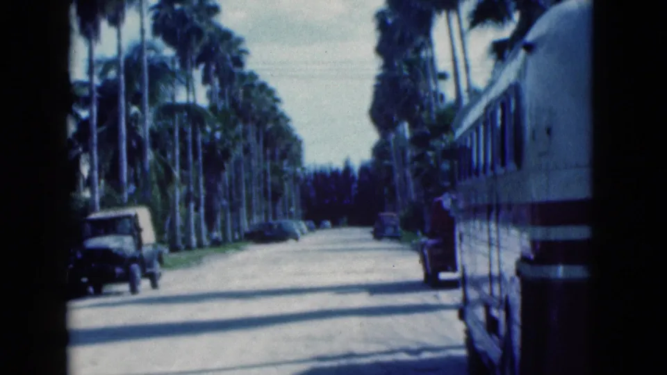 1975 Florida road scene with palm trees, an older car on the street, and a bus or large vehicle visible at right.