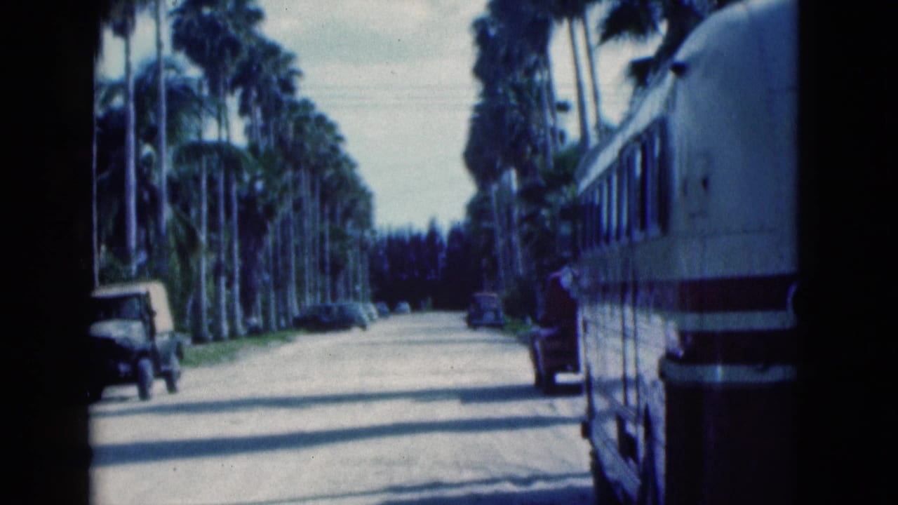 Palm-lined street with parked cars and the rear side of a white bus at right.