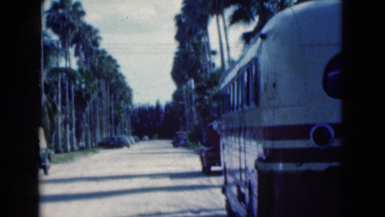 1975 Florida home-movie frame with tall palms, a quiet roadway, distant parked cars, and the side of a vintage white bus.