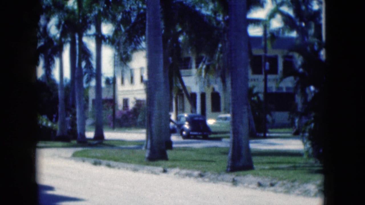 Palm-lined road with a dark car near a light-colored building.