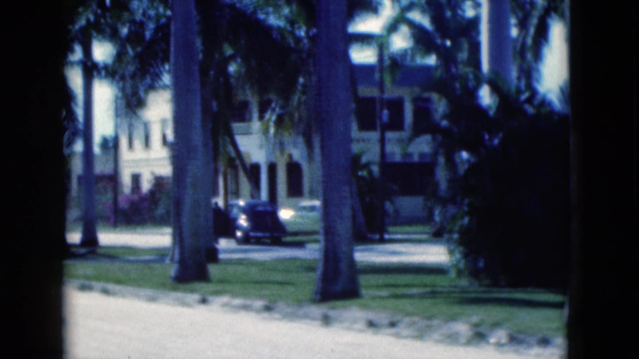 Palm trunks and foliage frame a Florida residential street with a dark older car and light building in the background.