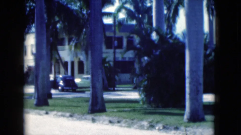 Soft 8mm frame of a palm-lined Florida street, with a dark car, lawn, shrubs, and pale building behind it.