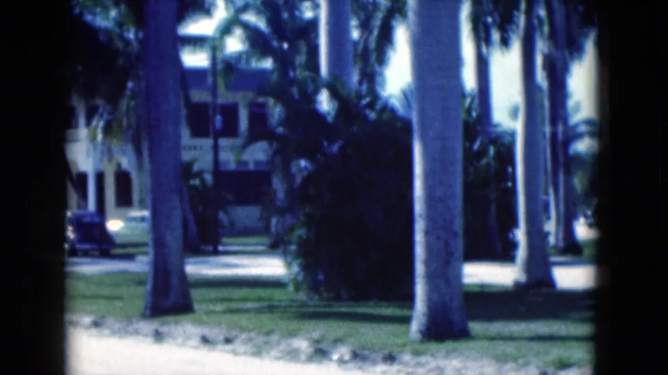 Final 1975 Florida frame shows the dark car partly hidden among palms, grass, shrubs, and a light tropical building.