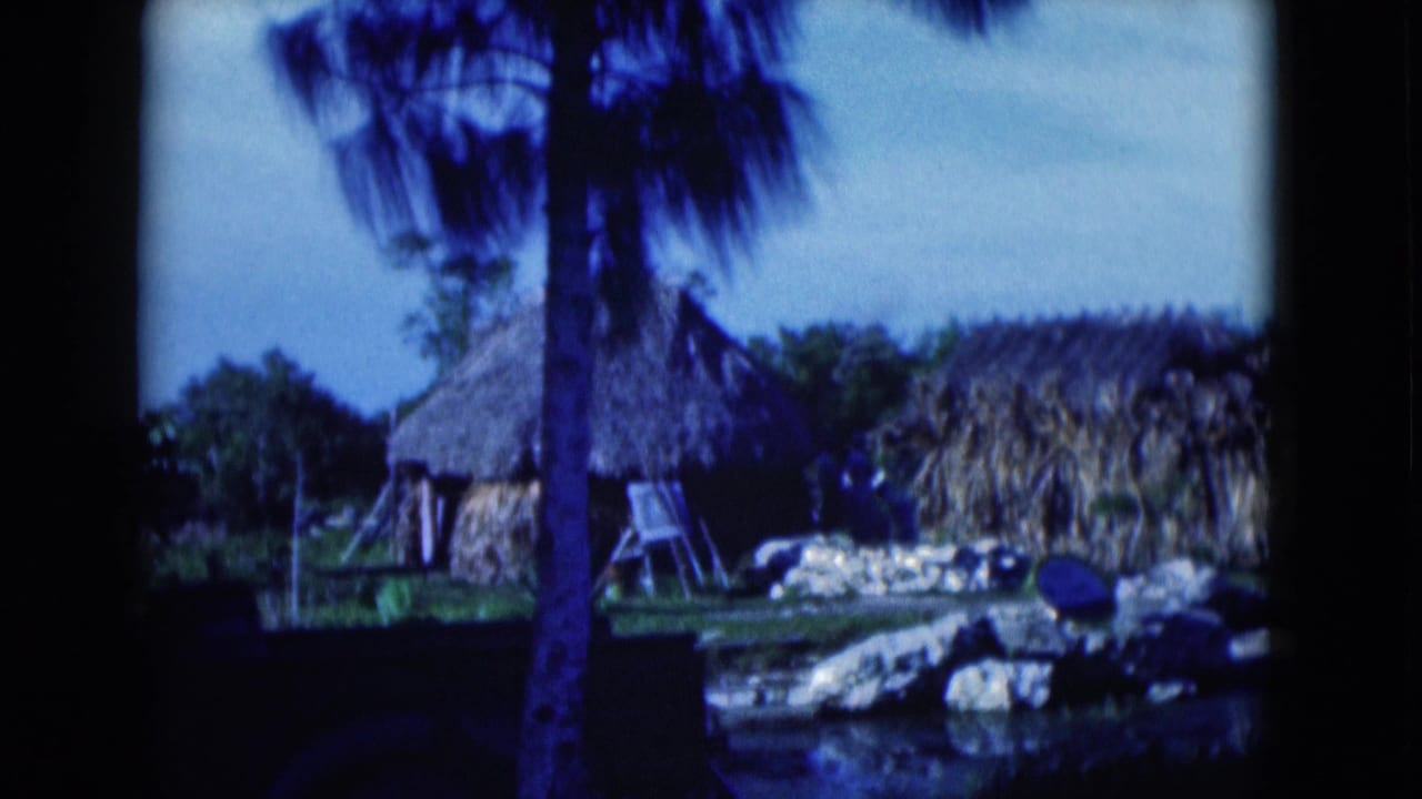 Thatched huts and palm trees beside rocks and water in a tropical landscape.