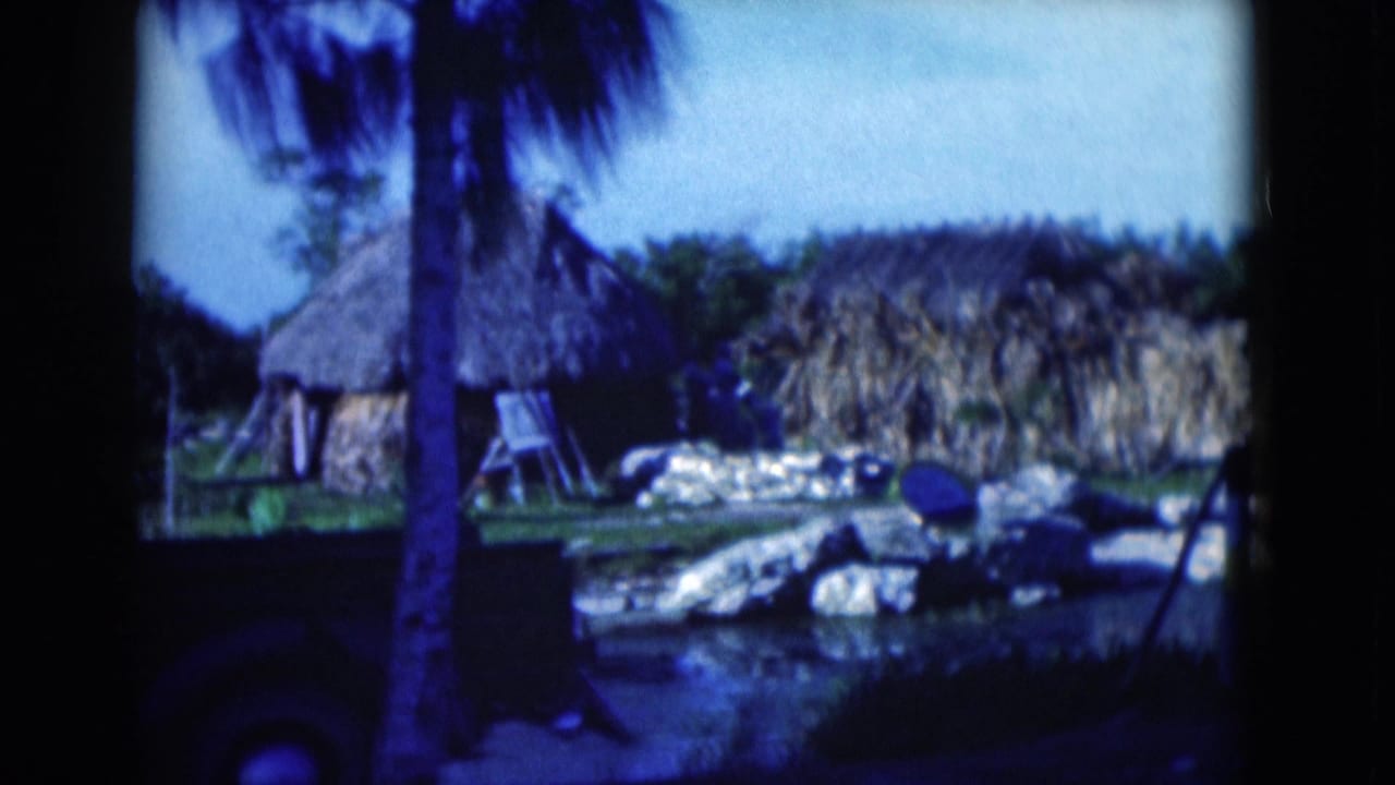 1975 Florida home-movie frame with a palm trunk crossing the view of thatched huts, rocks, water, and shrubs.