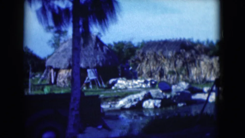 1975 Florida home-movie frame with a palm trunk crossing the view of thatched huts, rocks, water, and shrubs.