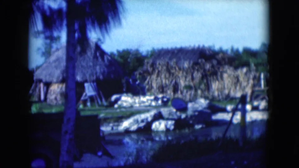 1975 Florida 8mm frame showing thatched structures behind a palm trunk, with rocks and a water edge in front.