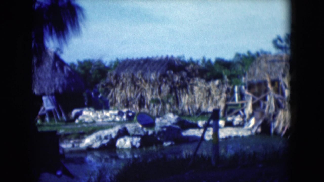 1975 Florida 8mm frame showing rustic thatched structures, palm foliage, rocks, and a small dark water feature with no people visible.