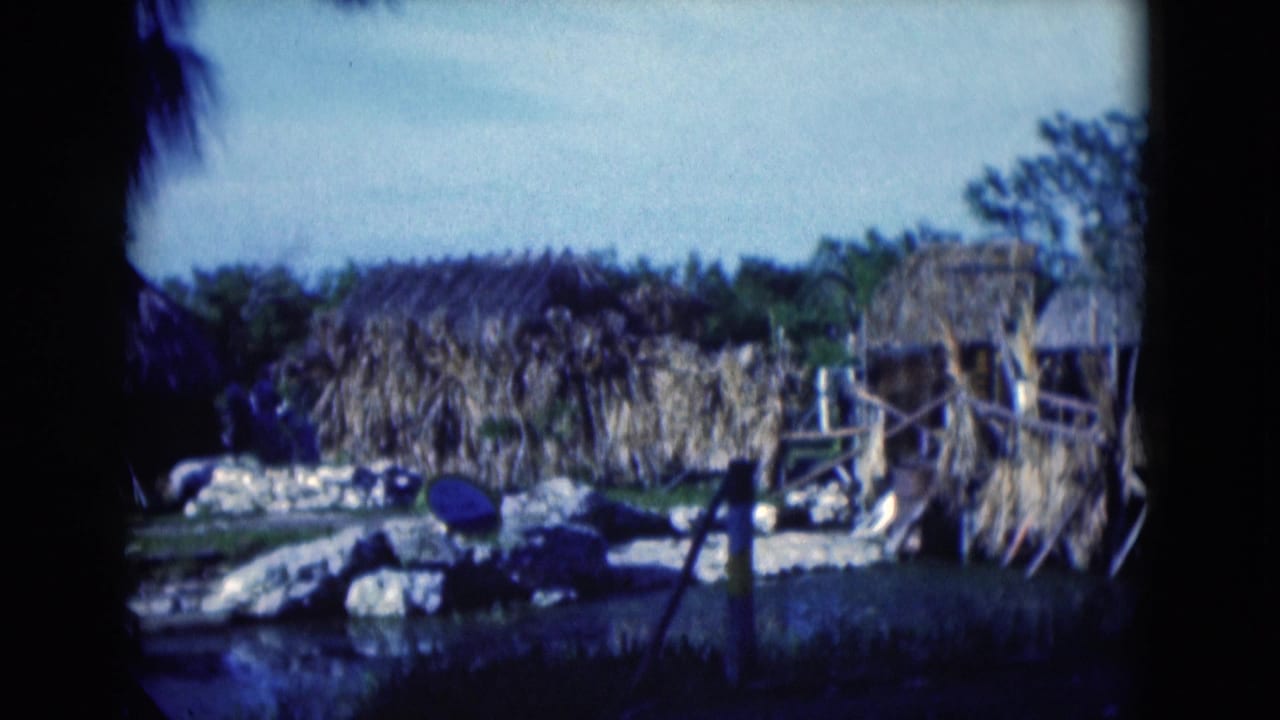 Rustic huts, palms, rocks, and a blue object near a small water feature.