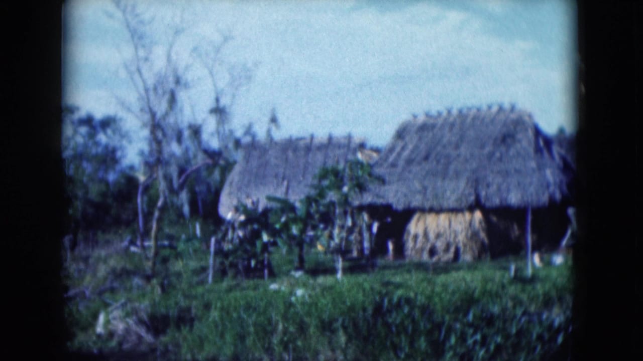 1975 Florida 8mm frame showing thatched huts, subtropical vegetation, and a calm water edge in a rural setting.