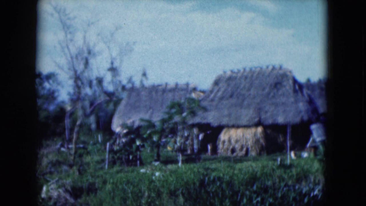 Cluster of thatched huts surrounded by trees and low greenery.