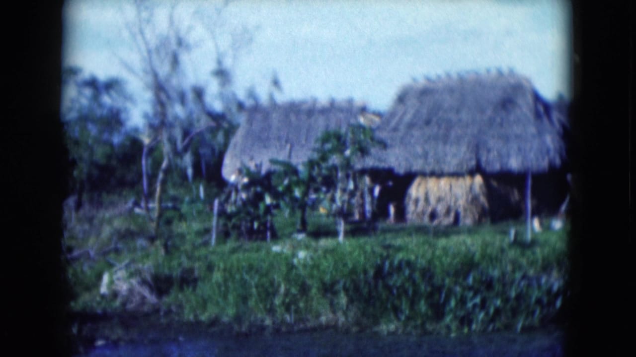 1975 Florida 8mm frame showing thatched huts across marsh vegetation, with trees and a calm water edge in the foreground.