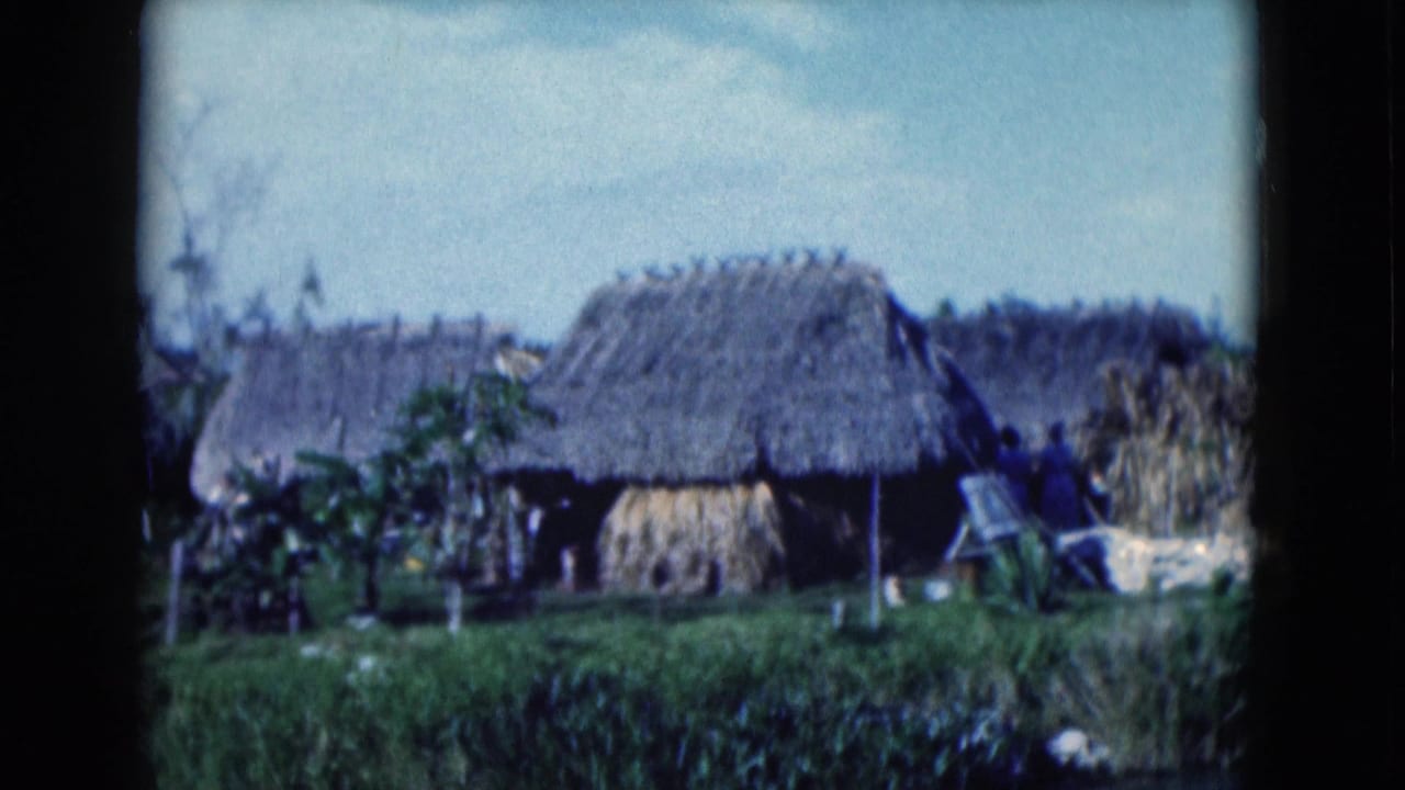Cluster of thatched huts, reeds, and marsh plants seen across a waterway.