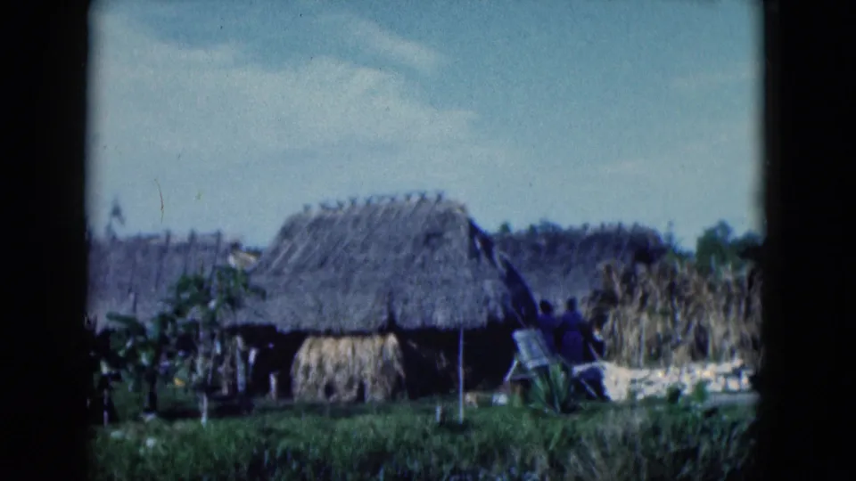 1975 Florida 8mm frame showing a thatched hut, tall reeds, dense greenery, and a small angled structure near the settlement.