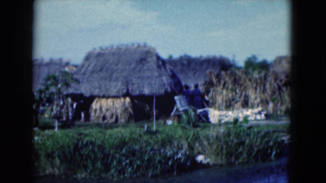 Thatched hut beside greenery with people gathered near outdoor structures.