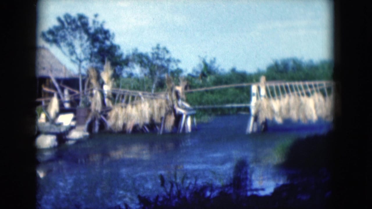 1975 Florida 8mm frame of a rough wooden bridge over water with dried plant material hanging from the structure.