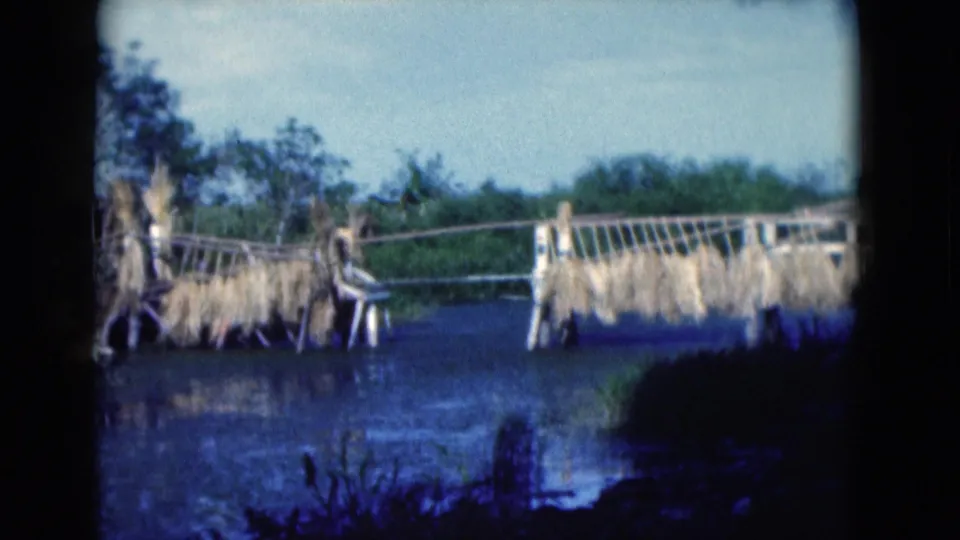 1975 Florida 8mm frame showing a handmade bridge, water, hanging plant bundles and trees in a village setting.