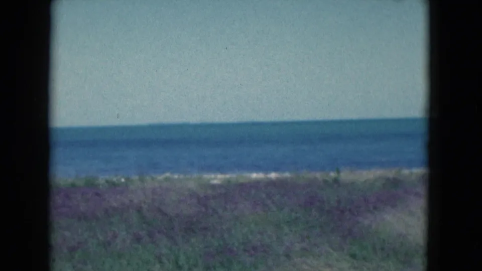 Florida 1975 home-movie frame of a calm ocean horizon beyond green coastal grass, with muted 8mm color and soft exposure.