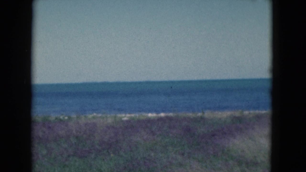 Blue ocean beyond low dune vegetation under a pale sky.