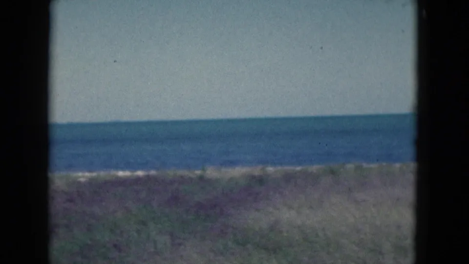 Soft 8mm frame of a Florida beach landscape, with low dune growth in front of a calm blue ocean.