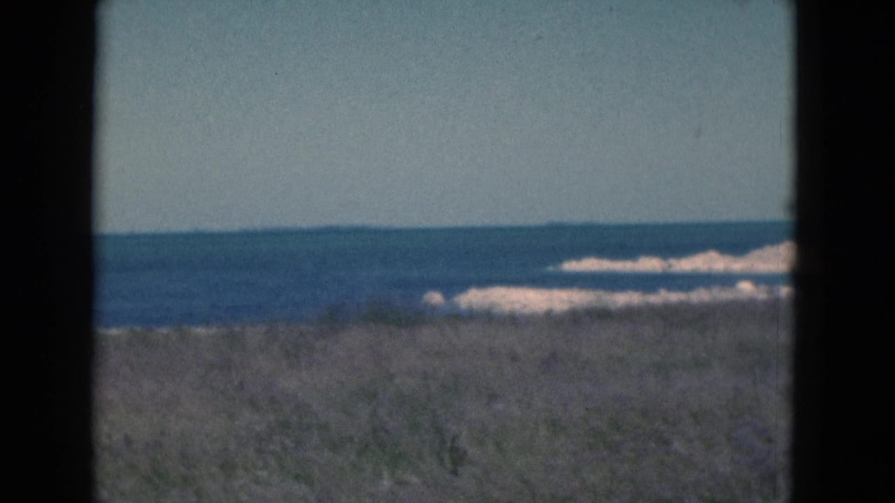 1975 Florida home-movie frame with grass in the foreground, ocean across the middle distance, and light surf near the beach.