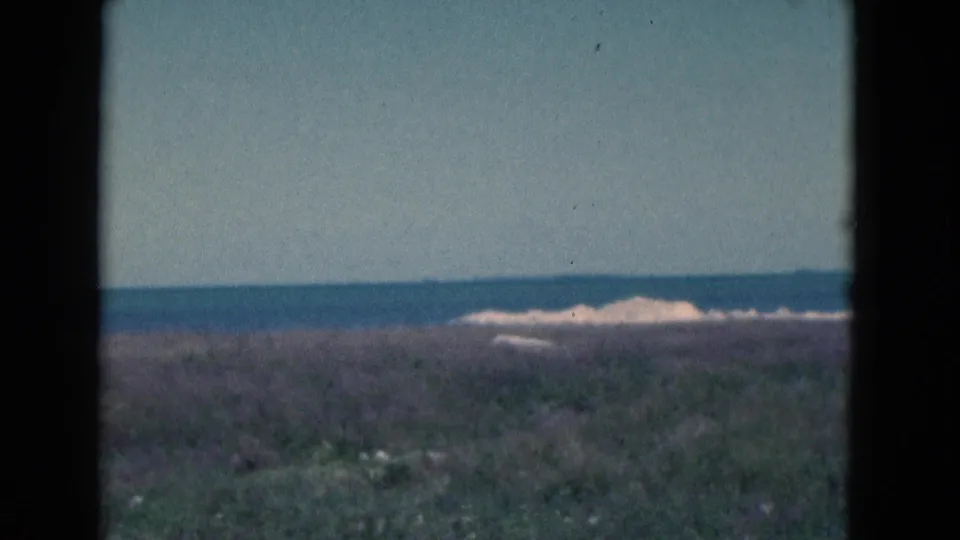 Soft 8mm view of a Florida beachside grass area leading to pale waves and a blue horizon.