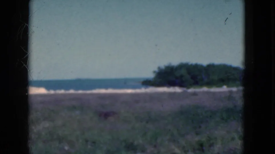 1975 Florida shoreline frame with grass, ocean, low surf, and a small tree-covered point or island.