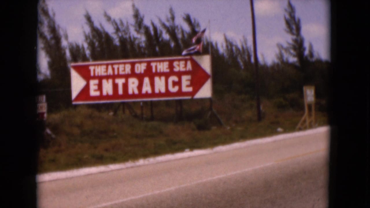 Red and white Theater of the Sea entrance sign beside a road.