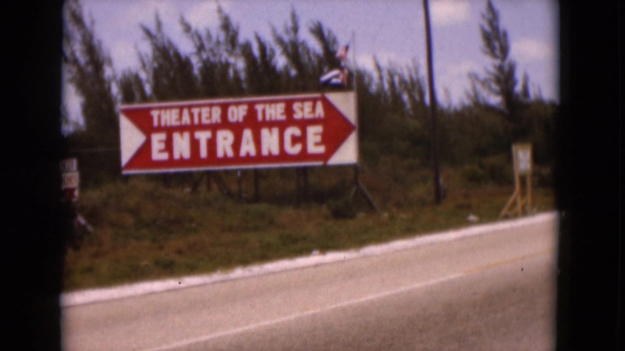 Visitor-shot 1975 Florida frame of the Theater of the Sea entrance sign, arrow, roadside, and tree line.