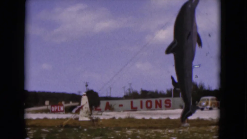 1975 Florida 8mm frame showing a dolphin performance area with water, a sea-lions sign, and a parked car behind it.