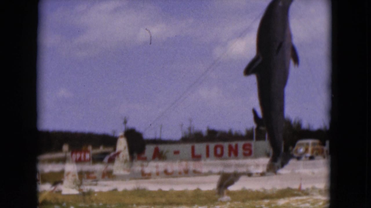 Dolphin statue suspended above a low wall with red SEA-LIONS lettering and cars behind it.