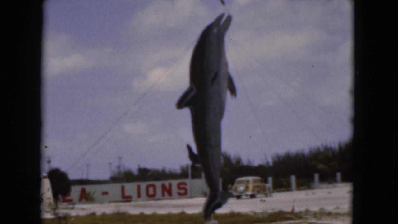1975 Florida frame showing a suspended dolphin statue, partial SEA-LIONS lettering, a low wall, and a parked car under a cloudy sky.