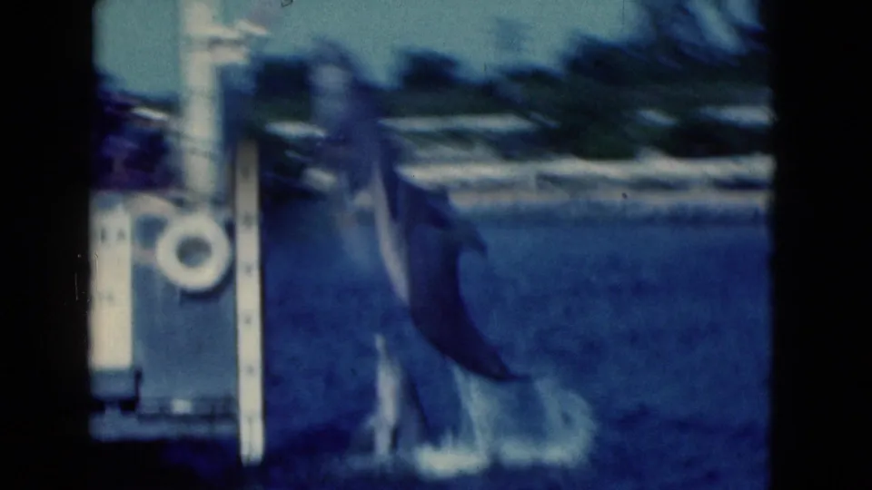 Soft 1975 Florida 8mm frame with a dolphin near dock hardware and blue water, partly blurred by motion and handheld framing.
