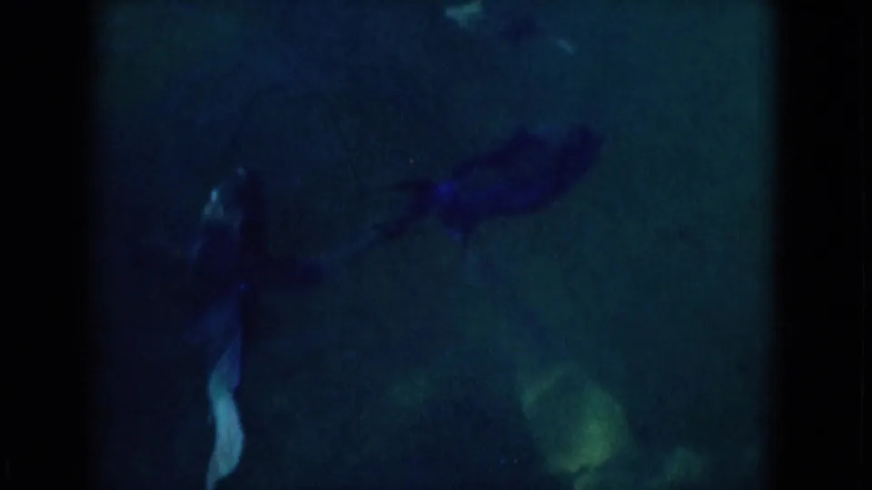Underwater 8mm frame from the Florida marine park clip showing fish silhouettes in dim blue-green water.